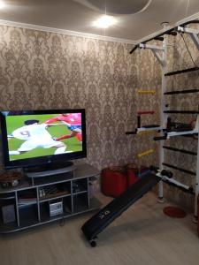 a living room with a tv and a treadmill at Апартаменти район КРЕСа Сичеславська33 ''3кімн і 1кімн'' і Свирська1 "2кімн" in Kryvyi Rih