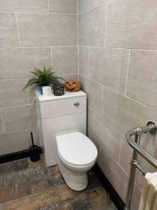 a bathroom with a toilet with a pumpkin on it at The Dog House in Birkenhead
