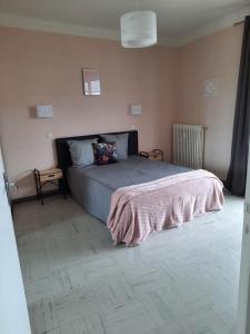 sypialnia z łóżkiem z różowym kocem w obiekcie Ruthen'Stay 1 bedroom Apartment w mieście Rodez
