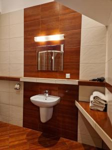 克拉科夫的住宿－Ariadna - Pantheon Apartments，一间带水槽和镜子的浴室