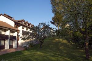 Gallery image of Hotel Am Lingelbach in Knüllwald