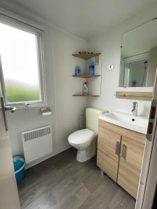 baño con aseo y lavabo y ventana en Mobil-home Clim, Tv, Lv - Camping Lac des Rêves 4 étoiles - 010, en Lattes