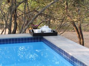 a blue swimming pool with a table with mugs and pitchers at Villa de Leeu, Perfect for Two in Marloth Park