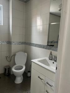 a bathroom with a toilet and a sink at House Of Beyoutiful Bocsa in Bocşa