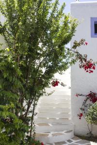 Zahrada ubytování Naxos Holidays