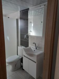 La salle de bains blanche est pourvue de toilettes et d'un lavabo. dans l'établissement Akademi Suit, à Eskişehir