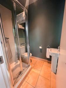 a bathroom with a shower and a toilet and a sink at The Blue Door Apartment in Cahersiveen