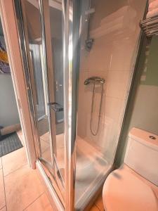 uma cabina de duche em vidro numa casa de banho com WC em The Blue Door Apartment em Cahersiveen