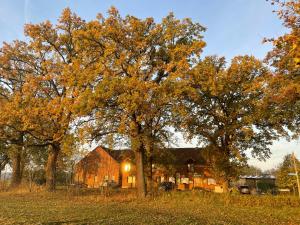 Gallery image of Eichenhof Hotel Garni in Groß Köris +57 photos