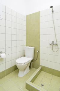a bathroom with a toilet and a shower at Villa Estelle in Paralia Katerinis