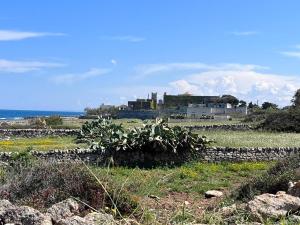 a field with a building in the background with a stone wall at Villa Santo Stefano in Monopoli