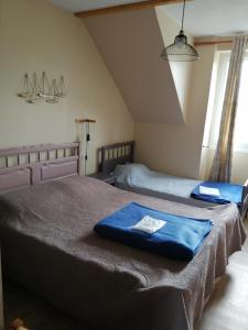 a bedroom with two beds with blue sheets at Gîte Hydrangea in Lanhélin