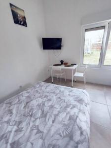Televízia a/alebo spoločenská miestnosť v ubytovaní R10 Idéal déplacement pro