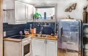 Kuchyň nebo kuchyňský kout v ubytování Amazing Home In Vdd With Kitchen