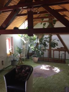 a living room with a couch and some plants at Haus Luise in Stapelburg