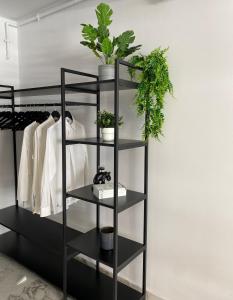 una mensola nera con piante in vaso di Eva Del Mar - Sea view - Mamaia Nord a Mamaia