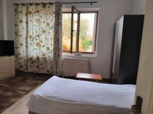 - une chambre avec un lit et une fenêtre dans l'établissement Unique Villa pe malul lacului Snagov, à Turbaţi