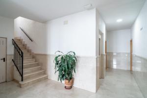 Zdjęcie z galerii obiektu Cala de Nerja Seaview Casasol w mieście Nerja