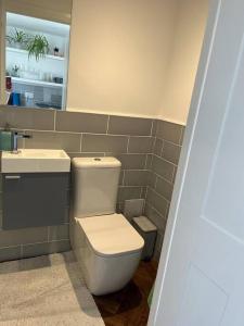 y baño con aseo y lavamanos. en Gorgeous Small House in Brighton, en Brighton & Hove