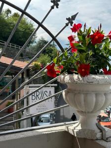 Balcó o terrassa a Briisa De Ness