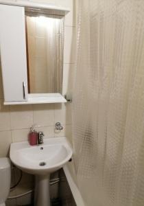 baño con cortina de ducha blanca y lavamanos en Apartment 28,Myru Avenue, en Izmaíl