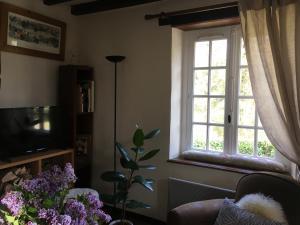 salon z oknem i fioletowymi kwiatami w obiekcie Cottage perché dans les montagnes du Mont-Saint-Michel w mieście Beauficel