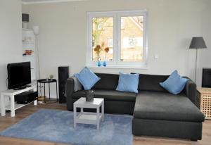 费马恩Albertsdorf Goldblick的客厅配有沙发和蓝色枕头。