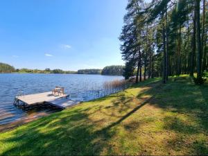 a dock on a lake with a bench on it at Beautiful Villa For Family/Couples in Molėtai