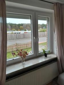 dos ventanas con flores en un jarrón en un alféizar de la ventana en TannenQuartier - Ihr Ferienhäuschen en Groß Grönau