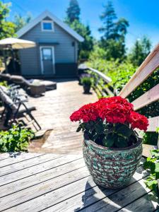 Zahrada ubytování Summer cabin by the sea Holmsbu. (40 min from Oslo)