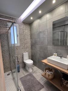 een badkamer met een toilet, een wastafel en een douche bij Rodini Inn in Rhodos-stad