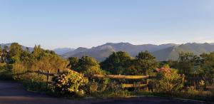 a fence with flowers and mountains in the background at Aquero-accueil in Bartrés