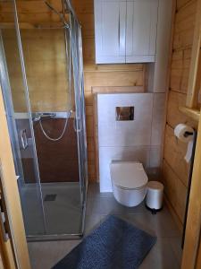 a small bathroom with a shower and a toilet at Dylewska Widokówka in Pietrzwałd