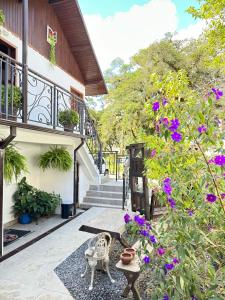 蒙特沃德的住宿－Chalés Grindelwald，庭院里种满了鲜花,设有长凳和楼梯