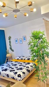 a bedroom with a bed and a plant at Studio Flat in the City Center in Tirana