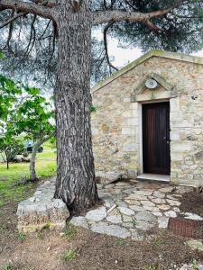 un bâtiment en pierre avec un arbre à côté dans l'établissement Mirodìa, à Sternatia