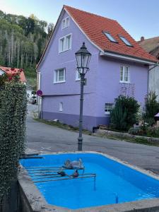 a cat laying on a rail in the middle of a street at Schwarzwald - Ferienhaus Luisa für 4 Personen 125m in Stühlingen