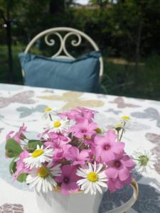 Zahrada ubytování B&B delle Arti