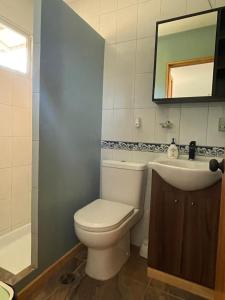 a bathroom with a toilet and a sink and a mirror at Cabalgatas y Alojamiento LocuraChile in Hurtado +25 photos