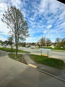 a street with a tree on the side of a road at Sea side apartments in Jūrmala