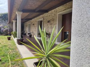 Zahrada ubytování Villa Carmen