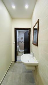 a bathroom with a sink and a mirror and a toilet at Petra Olive House in Wadi Musa