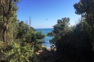 Paesaggio naturale nelle vicinanze dell'appartamento