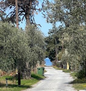 Gallery image of Villa Calypso in Skala Rachoniou