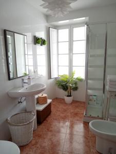 a bathroom with a sink and a mirror at Apartamento entero con jardín en Casa Amelia in Padrón