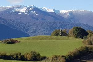 un champ vert avec des montagnes enneigées en arrière-plan dans l'établissement Chalet avec terrasse face aux Pyrénées, à Bartrés