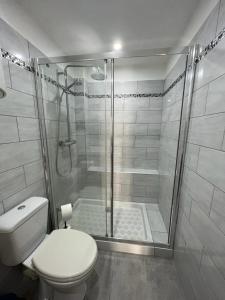 un baño con inodoro y ducha en A COLETTA, en Piana