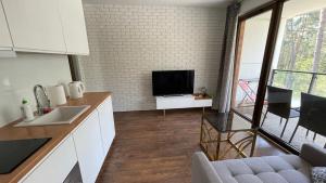 Televízia a/alebo spoločenská miestnosť v ubytovaní Apartament nad jeziorem , ZEFIR