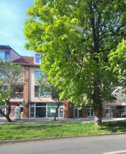 a building with a tree in front of it at Rózsa Apartman Keszthely in Keszthely