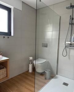 a bathroom with a toilet and a glass shower at Ri&Vale Alojamentos in Vieira do Minho